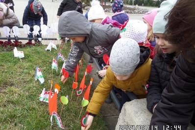Image Description